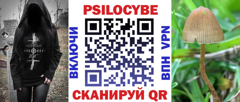 Галлюциногенные грибы Cubensis  как найти   Амурск 